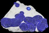 Wide Brilliant Blue Azurite Sun Cluster On Rock - Australia #77300-1
